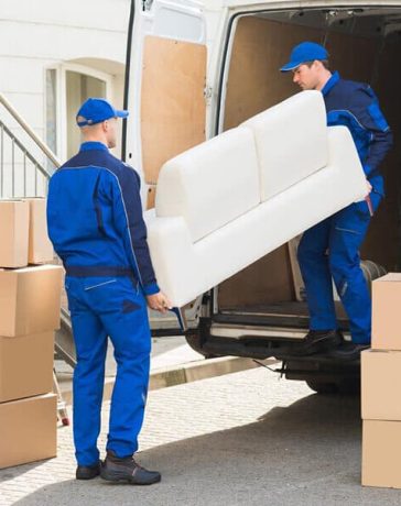 Professional Moving Industry