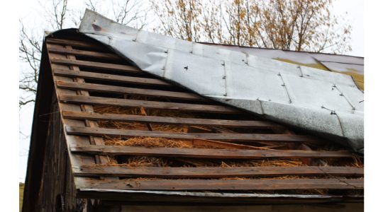 Metal Roof