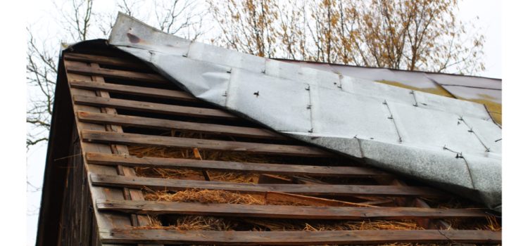 Metal Roof