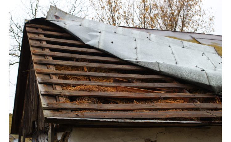 Metal Roof